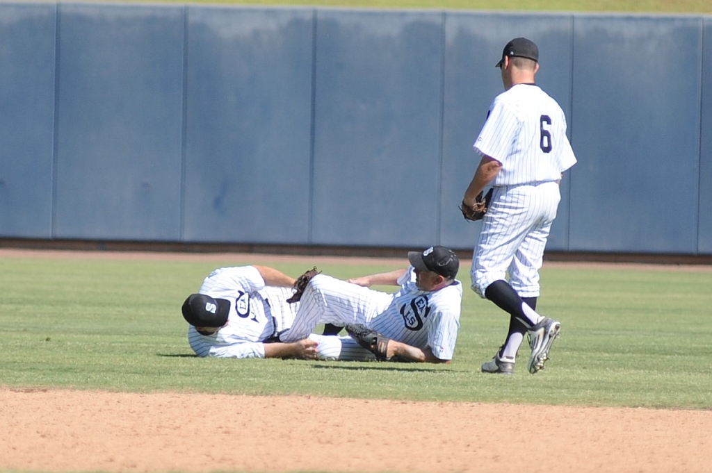 Seals_2017-10-08 (660).jpg - (c)2010 DeVetter